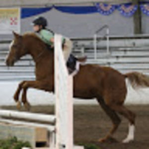 Meet your Posher, Jenny